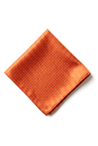 Cavani Satijnen Stropdas - Bijpassende Satijnen Zijden Stropdas voor Heren, Zakdoek & Stropdasclip, Polka Dot Bruiloft, Gala, Kantoor