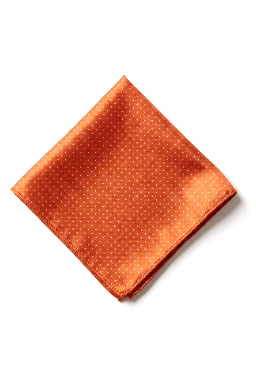 Cavani Satijnen Stropdas - Bijpassende Satijnen Zijden Stropdas voor Heren, Zakdoek & Stropdasclip, Polka Dot Bruiloft, Gala, Kantoor